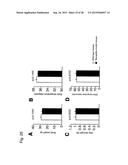 VACCINE FOR TREATMENT OF TAUTOPATHY diagram and image