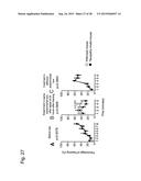 VACCINE FOR TREATMENT OF TAUTOPATHY diagram and image