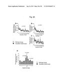 VACCINE FOR TREATMENT OF TAUTOPATHY diagram and image