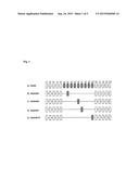 CD44 SPLICE VARIANTS IN NEURODEGENERATIVE DISEASES diagram and image