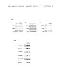 CD44 SPLICE VARIANTS IN NEURODEGENERATIVE DISEASES diagram and image