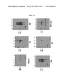 NOVEL EPITOPE OF IP-10 AND ANTIBODY TO SAME diagram and image