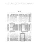 NOVEL EPITOPE OF IP-10 AND ANTIBODY TO SAME diagram and image