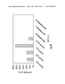 GRAFT POLYMERS FOR ENHANCED INTRACELLULAR DELIVERY OF ANTISENSE MOLECULES diagram and image