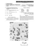 Method for the Preparation of a Heterophasic Copolymer and uses thereof diagram and image