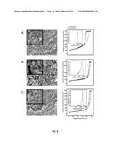 POROUS POLYURETHANE NETWORKS AND METHODS OF PREPARATION diagram and image