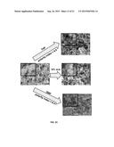 POROUS POLYURETHANE NETWORKS AND METHODS OF PREPARATION diagram and image