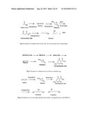 SYNTHESIS OF C3-C7 ALCOHOL FUEL COMPOSITIONS diagram and image