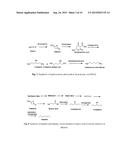 SYNTHESIS OF C3-C7 ALCOHOL FUEL COMPOSITIONS diagram and image