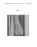 CELL CULTURE METHOD, CELL CULTURE MEMBER, AND CELL CULTURE APPARATUS diagram and image