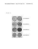 CULTURE MEDIUM ADDITIVE FOR USE IN SERUM-FREE CULTURING OF ANIMAL CELL,     KIT AND USE THEREOF diagram and image