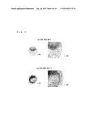 CULTURE MEDIUM ADDITIVE FOR USE IN SERUM-FREE CULTURING OF ANIMAL CELL,     KIT AND USE THEREOF diagram and image