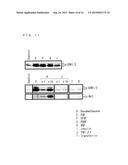 CULTURE MEDIUM ADDITIVE FOR USE IN SERUM-FREE CULTURING OF ANIMAL CELL,     KIT AND USE THEREOF diagram and image