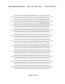 TRANSLATIONAL ENHANCER-ELEMENT DEPENDENT VECTOR SYSTEMS diagram and image