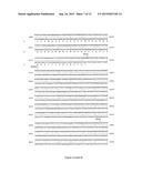 TRANSLATIONAL ENHANCER-ELEMENT DEPENDENT VECTOR SYSTEMS diagram and image