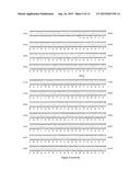 TRANSLATIONAL ENHANCER-ELEMENT DEPENDENT VECTOR SYSTEMS diagram and image