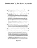 TRANSLATIONAL ENHANCER-ELEMENT DEPENDENT VECTOR SYSTEMS diagram and image