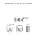 METHODS AND COMPOSITIONS FOR MODULATING ANGIOGENESIS diagram and image