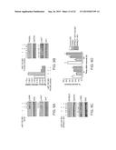 METHODS AND COMPOSITIONS FOR MODULATING ANGIOGENESIS diagram and image