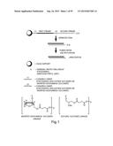 RNA INTERFERENCE MEDIATED INHIBITION OF GENE EXPRESSION USING CHEMICALLY     MODIFIED SHORT INTERFERING NUCLEIC ACID (siNA) diagram and image