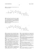 RNA INTERFERENCE MEDIATED INHIBITION OF GENE EXPRESSION USING CHEMICALLY     MODIFIED SHORT INTERFERING NUCLEIC ACID (siNA) diagram and image