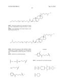 RNA INTERFERENCE MEDIATED INHIBITION OF GENE EXPRESSION USING CHEMICALLY     MODIFIED SHORT INTERFERING NUCLEIC ACID (siNA) diagram and image