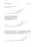 RNA INTERFERENCE MEDIATED INHIBITION OF GENE EXPRESSION USING CHEMICALLY     MODIFIED SHORT INTERFERING NUCLEIC ACID (siNA) diagram and image