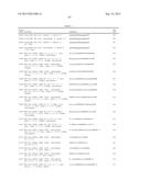 RNA INTERFERENCE MEDIATED INHIBITION OF GENE EXPRESSION USING CHEMICALLY     MODIFIED SHORT INTERFERING NUCLEIC ACID (siNA) diagram and image