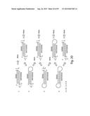 RNA INTERFERENCE MEDIATED INHIBITION OF GENE EXPRESSION USING CHEMICALLY     MODIFIED SHORT INTERFERING NUCLEIC ACID (siNA) diagram and image