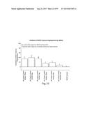 RNA INTERFERENCE MEDIATED INHIBITION OF GENE EXPRESSION USING CHEMICALLY     MODIFIED SHORT INTERFERING NUCLEIC ACID (siNA) diagram and image