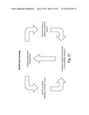 RNA INTERFERENCE MEDIATED INHIBITION OF GENE EXPRESSION USING CHEMICALLY     MODIFIED SHORT INTERFERING NUCLEIC ACID (siNA) diagram and image