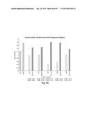 RNA INTERFERENCE MEDIATED INHIBITION OF GENE EXPRESSION USING CHEMICALLY     MODIFIED SHORT INTERFERING NUCLEIC ACID (siNA) diagram and image