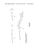 RNA INTERFERENCE MEDIATED INHIBITION OF GENE EXPRESSION USING CHEMICALLY     MODIFIED SHORT INTERFERING NUCLEIC ACID (siNA) diagram and image