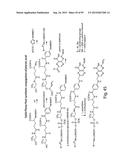 RNA INTERFERENCE MEDIATED INHIBITION OF GENE EXPRESSION USING CHEMICALLY     MODIFIED SHORT INTERFERING NUCLEIC ACID (siNA) diagram and image