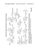 RNA INTERFERENCE MEDIATED INHIBITION OF GENE EXPRESSION USING CHEMICALLY     MODIFIED SHORT INTERFERING NUCLEIC ACID (siNA) diagram and image