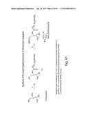 RNA INTERFERENCE MEDIATED INHIBITION OF GENE EXPRESSION USING CHEMICALLY     MODIFIED SHORT INTERFERING NUCLEIC ACID (siNA) diagram and image