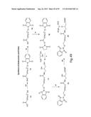 RNA INTERFERENCE MEDIATED INHIBITION OF GENE EXPRESSION USING CHEMICALLY     MODIFIED SHORT INTERFERING NUCLEIC ACID (siNA) diagram and image