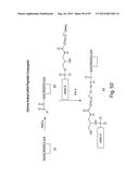 RNA INTERFERENCE MEDIATED INHIBITION OF GENE EXPRESSION USING CHEMICALLY     MODIFIED SHORT INTERFERING NUCLEIC ACID (siNA) diagram and image