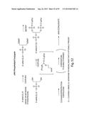 RNA INTERFERENCE MEDIATED INHIBITION OF GENE EXPRESSION USING CHEMICALLY     MODIFIED SHORT INTERFERING NUCLEIC ACID (siNA) diagram and image