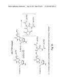 RNA INTERFERENCE MEDIATED INHIBITION OF GENE EXPRESSION USING CHEMICALLY     MODIFIED SHORT INTERFERING NUCLEIC ACID (siNA) diagram and image