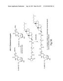 RNA INTERFERENCE MEDIATED INHIBITION OF GENE EXPRESSION USING CHEMICALLY     MODIFIED SHORT INTERFERING NUCLEIC ACID (siNA) diagram and image