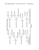 RNA INTERFERENCE MEDIATED INHIBITION OF GENE EXPRESSION USING CHEMICALLY     MODIFIED SHORT INTERFERING NUCLEIC ACID (siNA) diagram and image