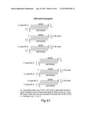 RNA INTERFERENCE MEDIATED INHIBITION OF GENE EXPRESSION USING CHEMICALLY     MODIFIED SHORT INTERFERING NUCLEIC ACID (siNA) diagram and image