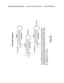 RNA INTERFERENCE MEDIATED INHIBITION OF GENE EXPRESSION USING CHEMICALLY     MODIFIED SHORT INTERFERING NUCLEIC ACID (siNA) diagram and image