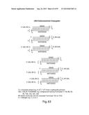 RNA INTERFERENCE MEDIATED INHIBITION OF GENE EXPRESSION USING CHEMICALLY     MODIFIED SHORT INTERFERING NUCLEIC ACID (siNA) diagram and image