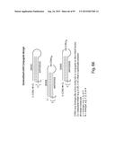 RNA INTERFERENCE MEDIATED INHIBITION OF GENE EXPRESSION USING CHEMICALLY     MODIFIED SHORT INTERFERING NUCLEIC ACID (siNA) diagram and image