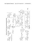 RNA INTERFERENCE MEDIATED INHIBITION OF GENE EXPRESSION USING CHEMICALLY     MODIFIED SHORT INTERFERING NUCLEIC ACID (siNA) diagram and image