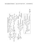 RNA INTERFERENCE MEDIATED INHIBITION OF GENE EXPRESSION USING CHEMICALLY     MODIFIED SHORT INTERFERING NUCLEIC ACID (siNA) diagram and image