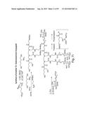 RNA INTERFERENCE MEDIATED INHIBITION OF GENE EXPRESSION USING CHEMICALLY     MODIFIED SHORT INTERFERING NUCLEIC ACID (siNA) diagram and image