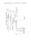 RNA INTERFERENCE MEDIATED INHIBITION OF GENE EXPRESSION USING CHEMICALLY     MODIFIED SHORT INTERFERING NUCLEIC ACID (siNA) diagram and image